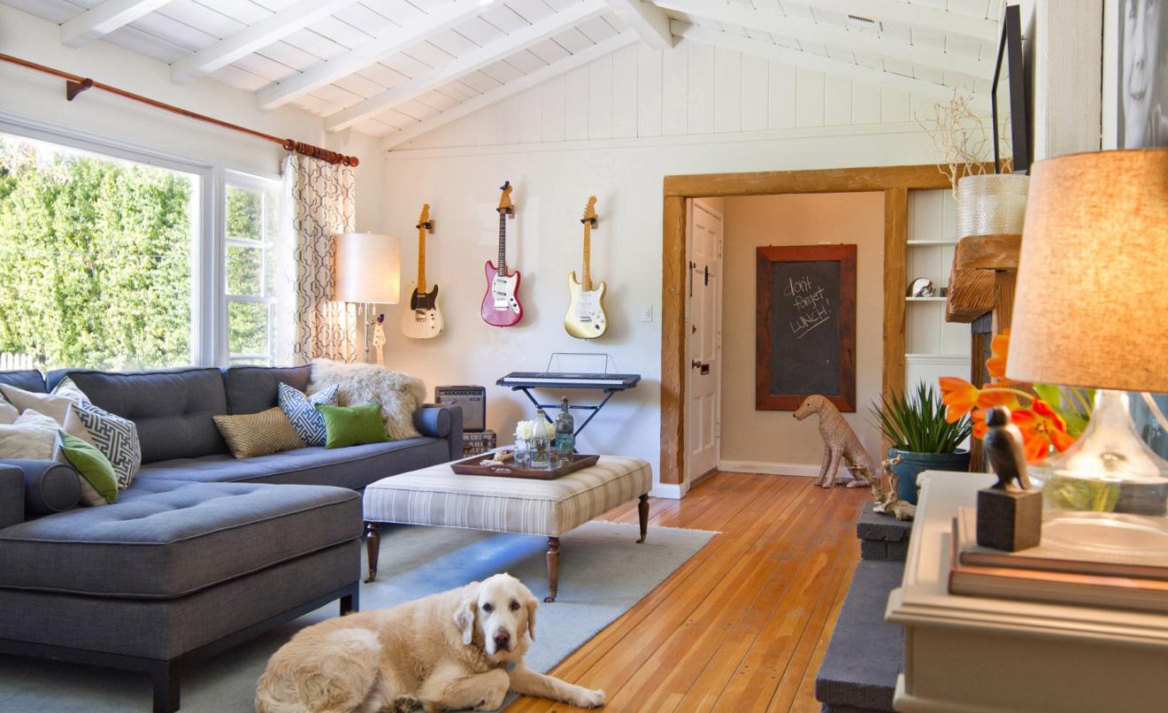 pet friendly light colored living room