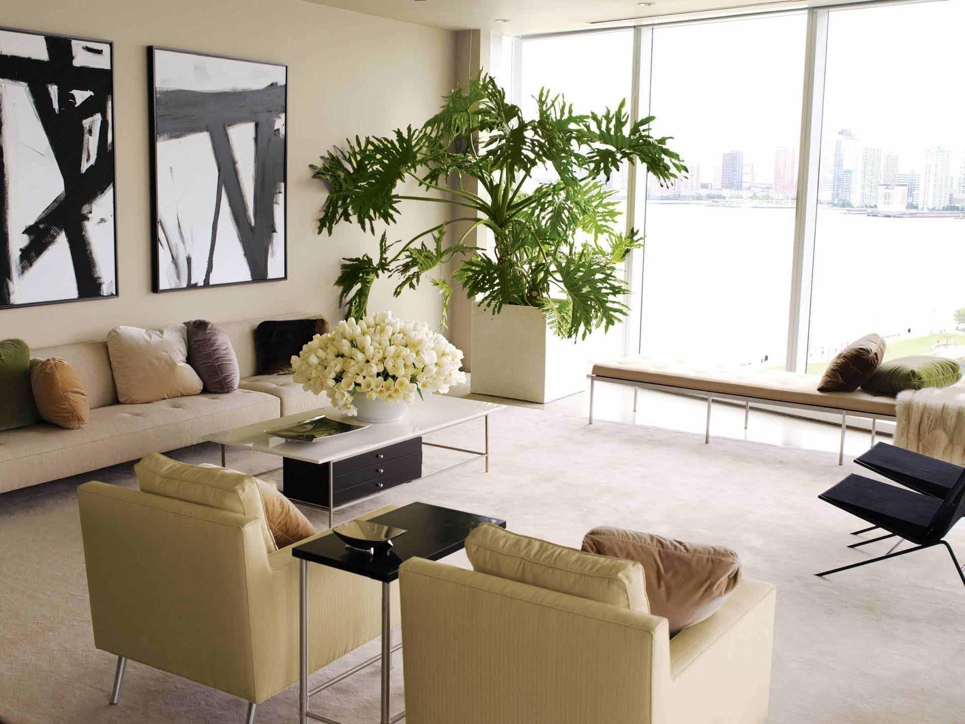 modern living room plants