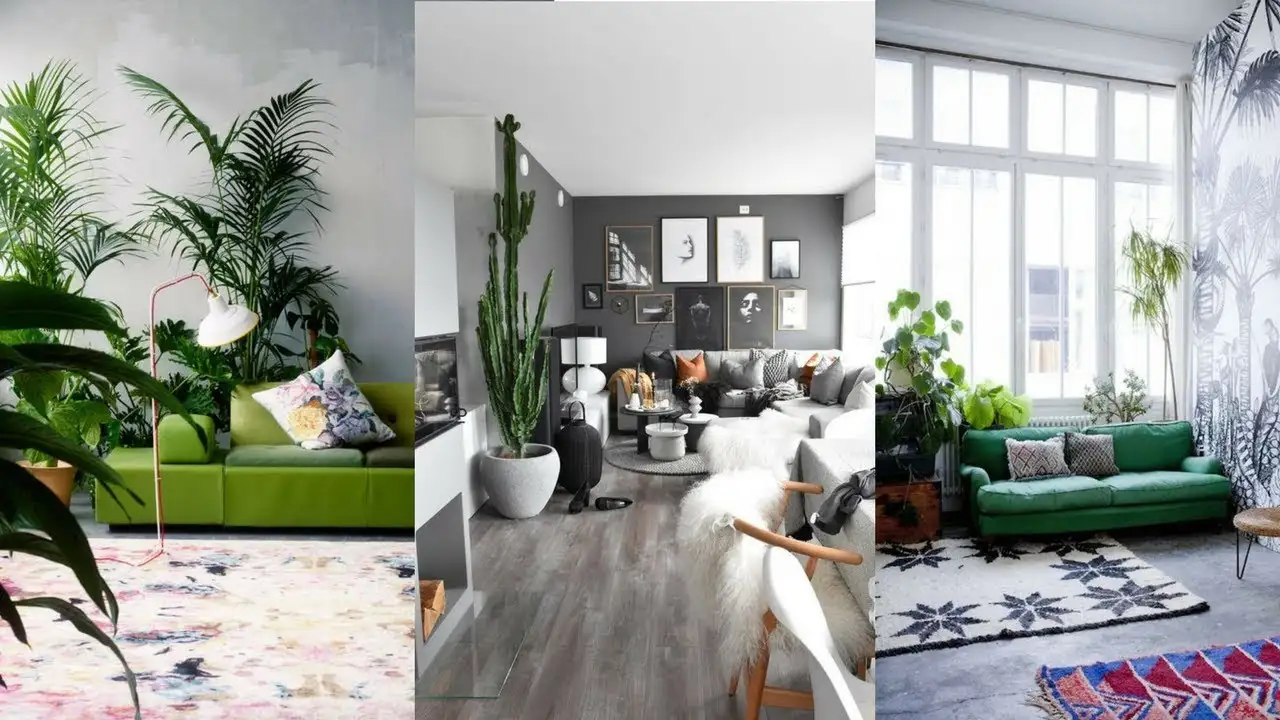 Decorate living room with plants