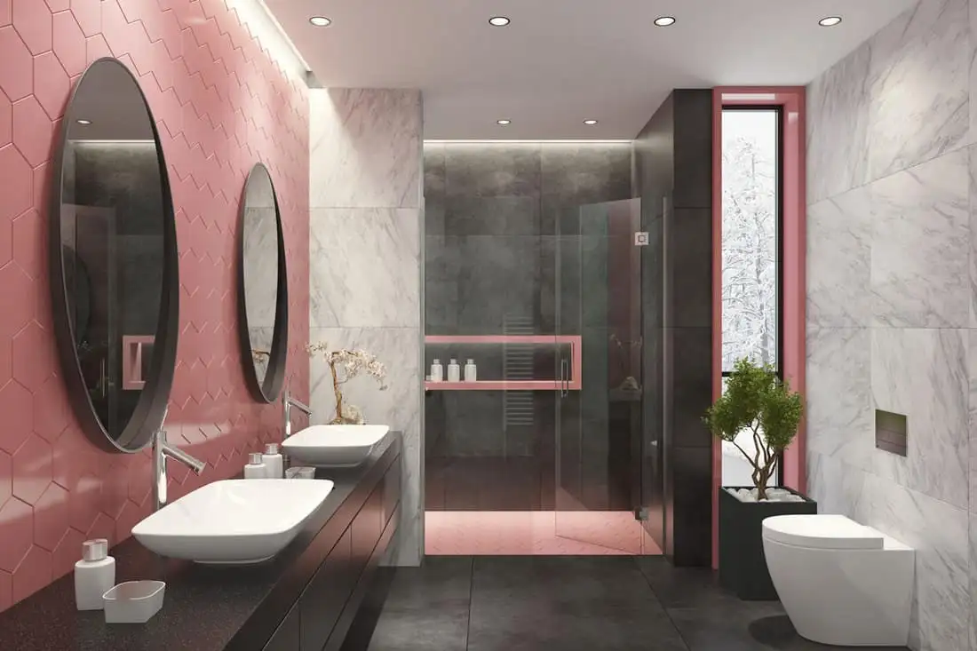 Pink-Themed Bathroom