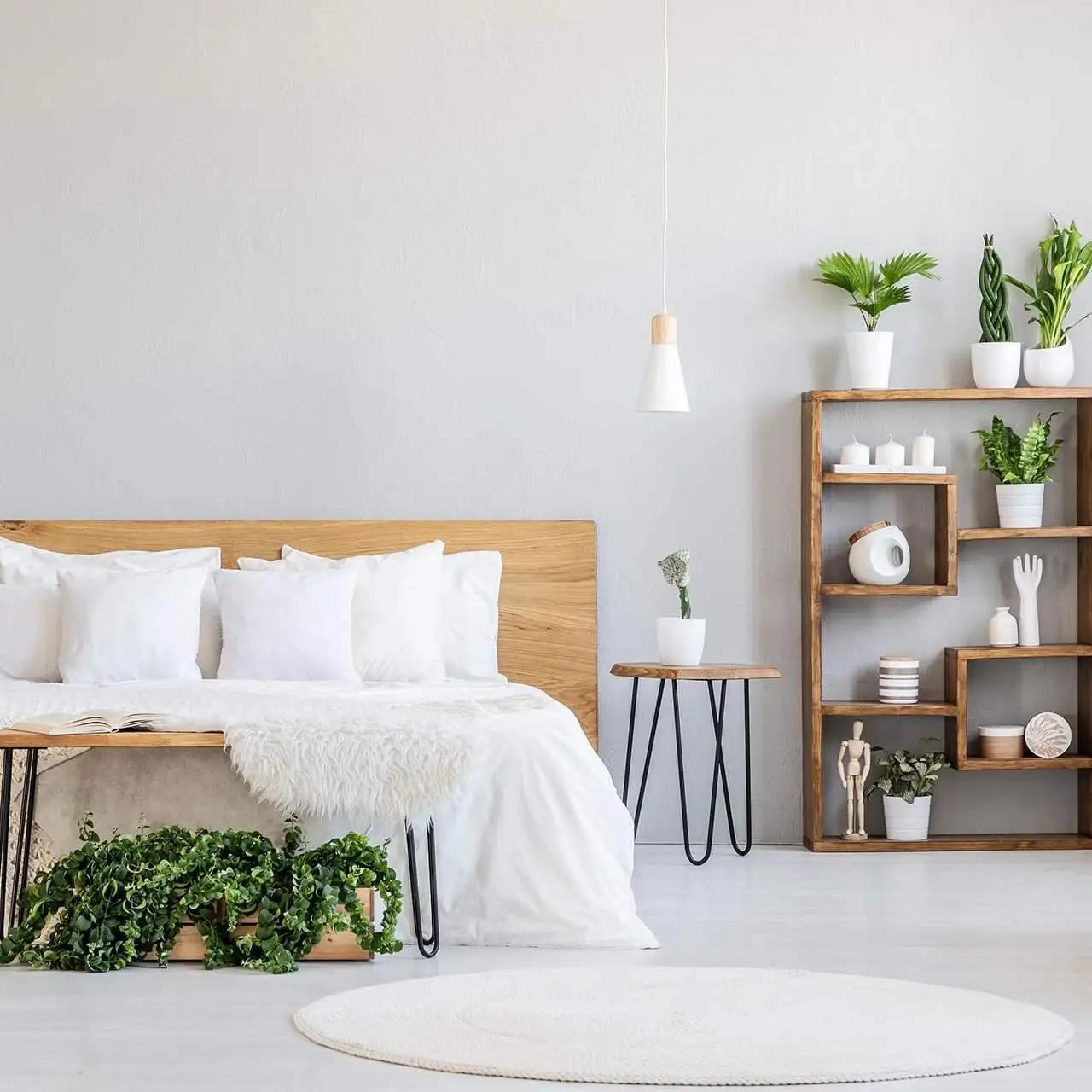Decorative Pieces And Accessories