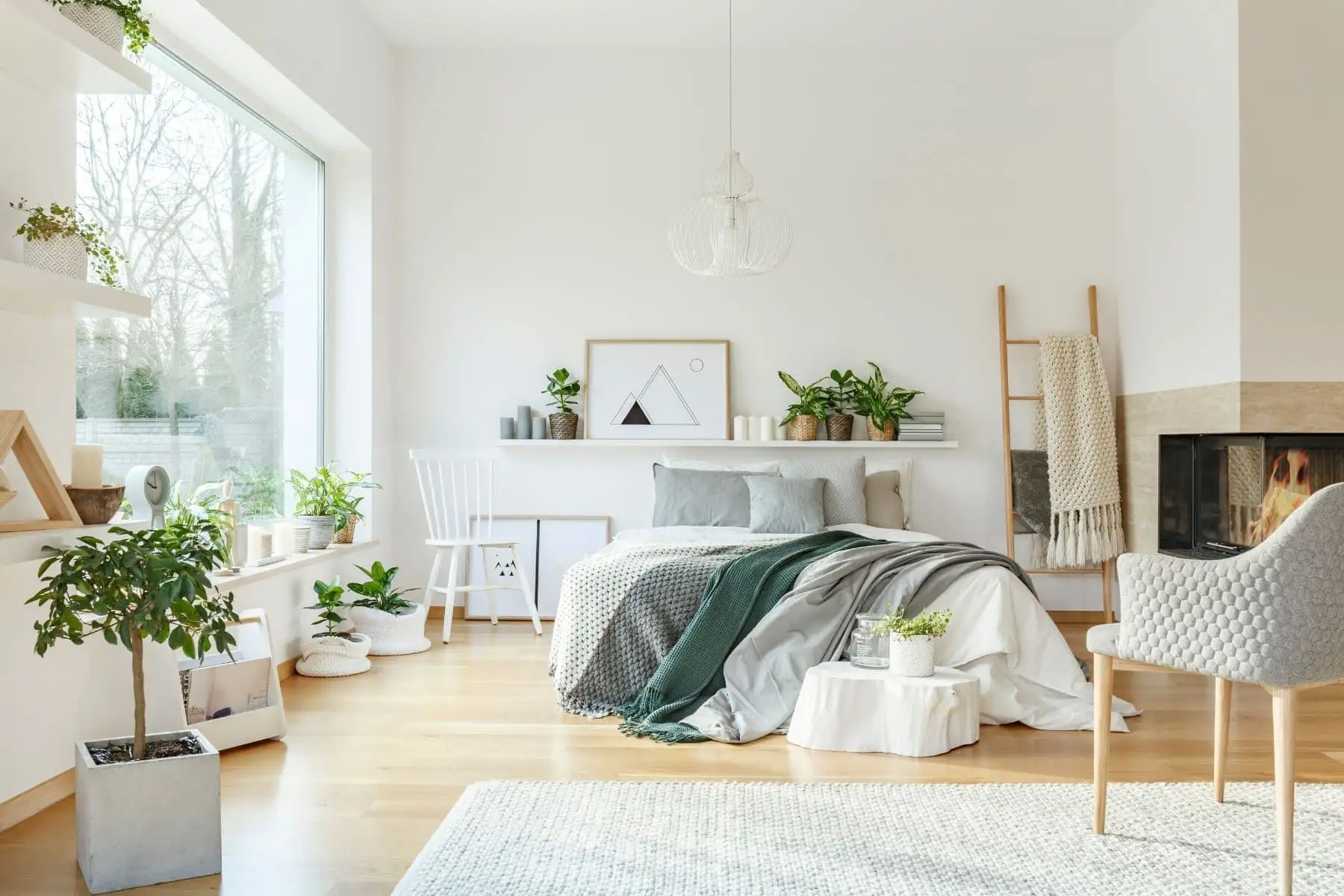 Fresh Up Your Space With Green Plants