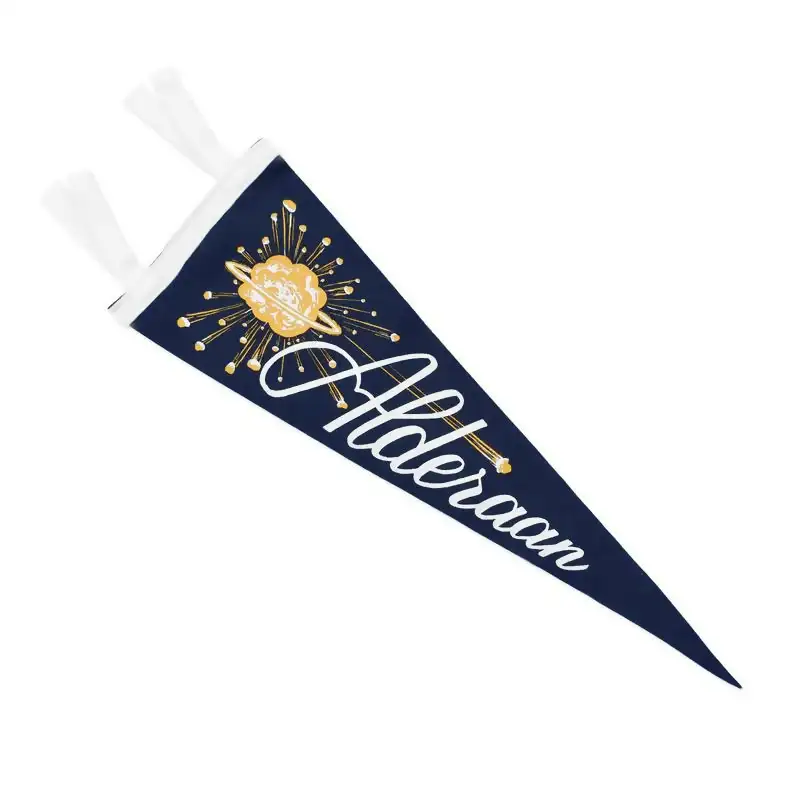 What About An Alderaan Star Wars Pennant?