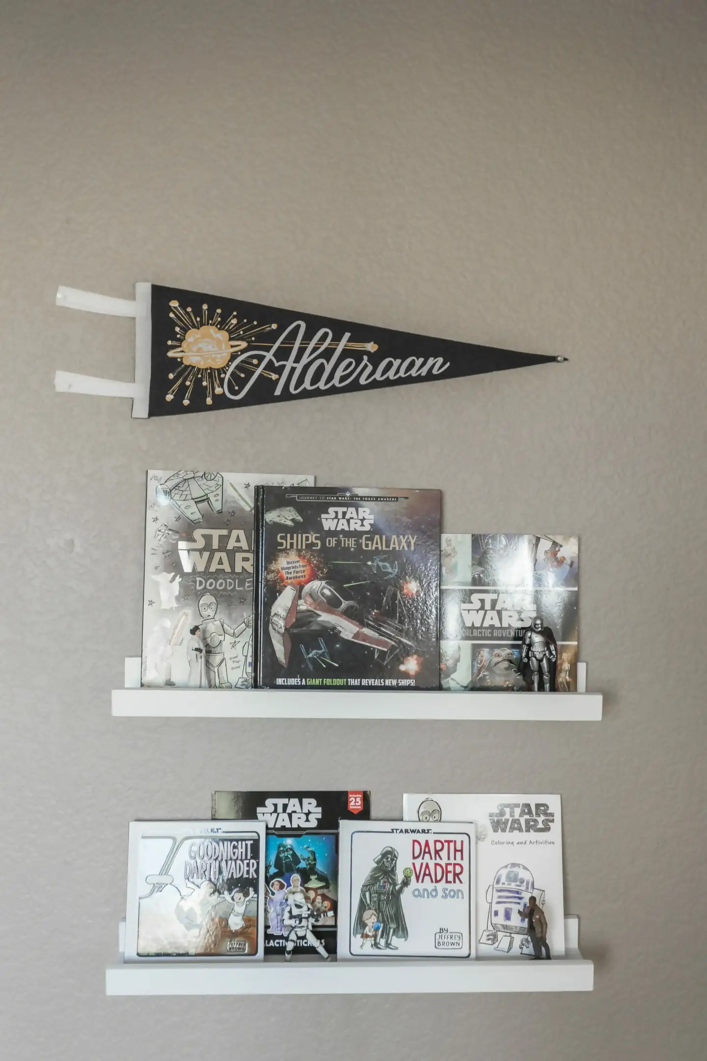 What About An Alderaan Star Wars Pennant?