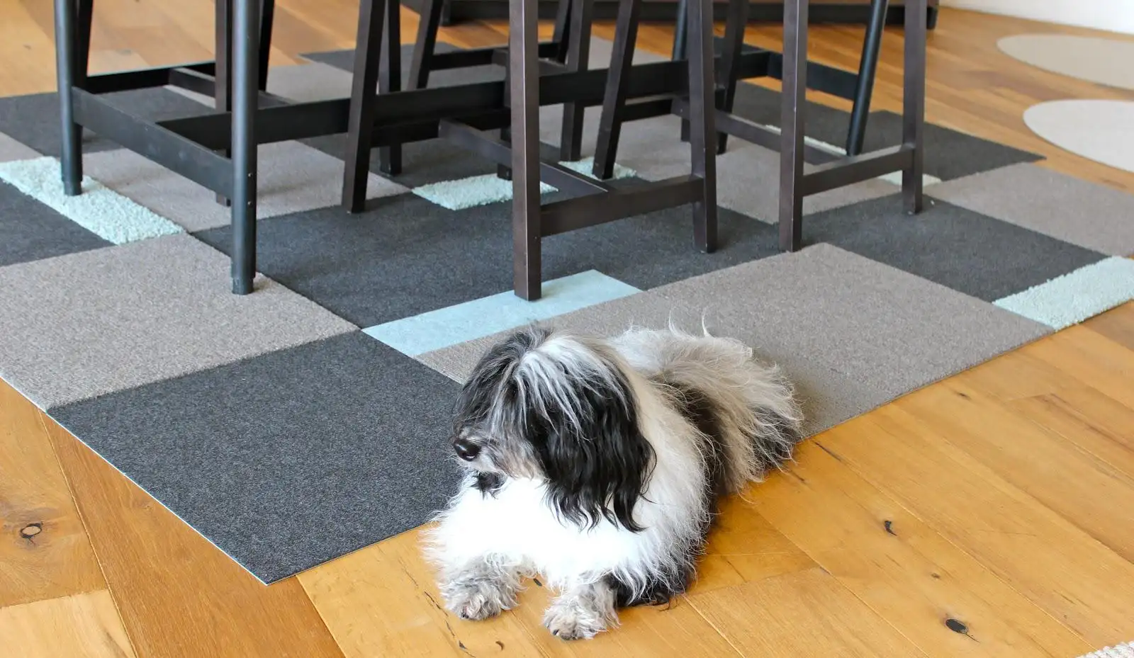 Pet-friendly rugs