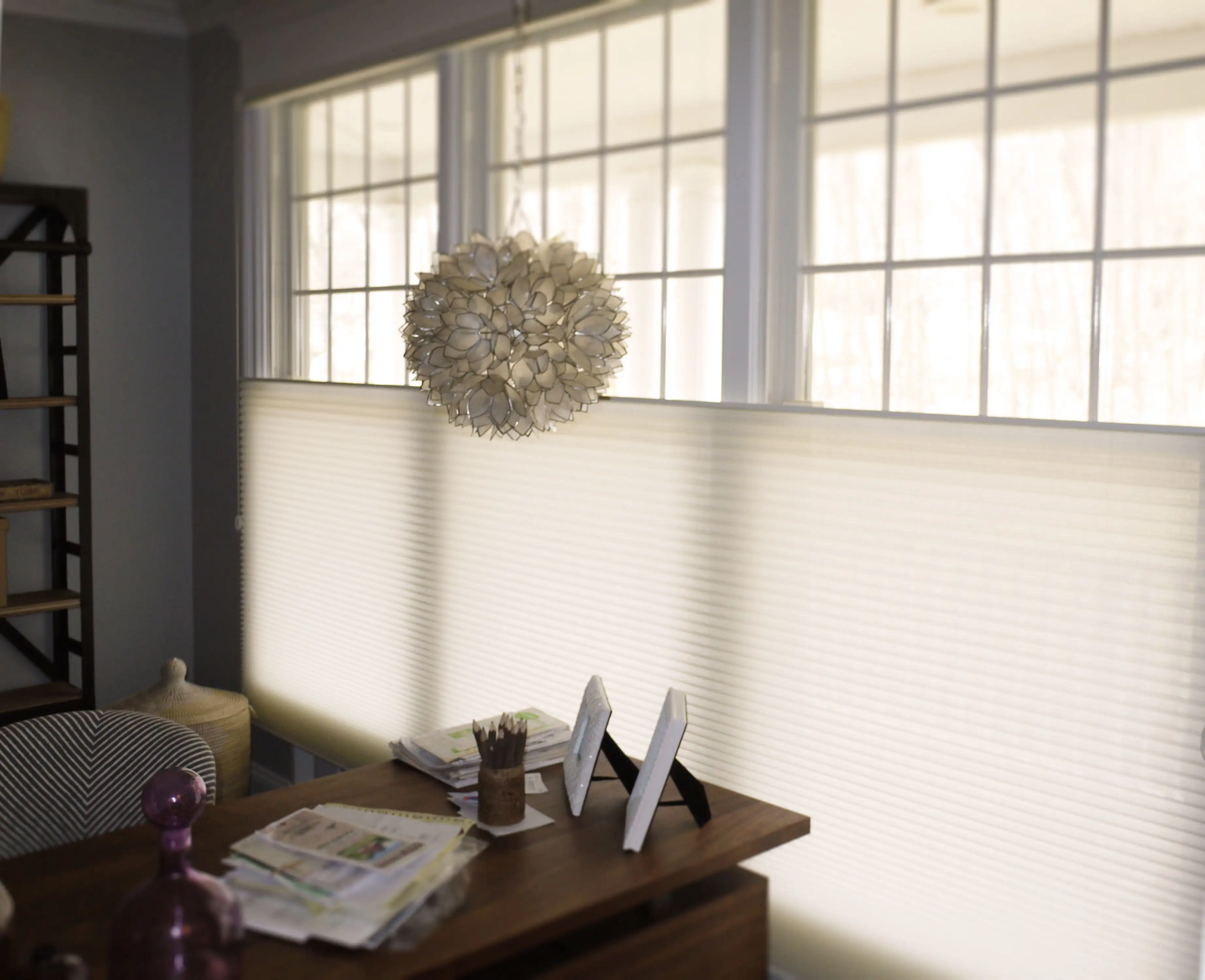 Hunter Douglas honeycomb shades