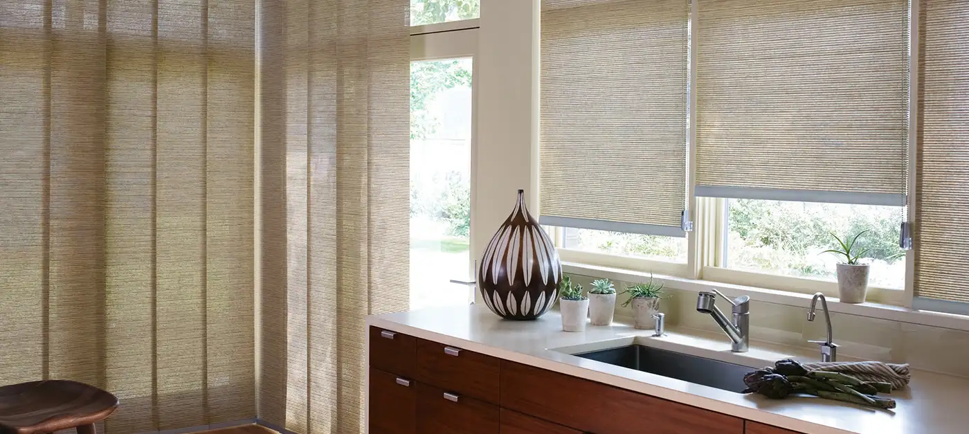 Hunter Douglas shades