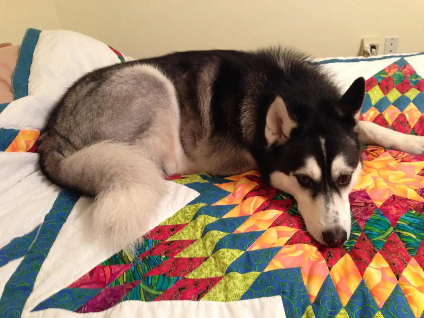 Pet hair-resistant duvet cover