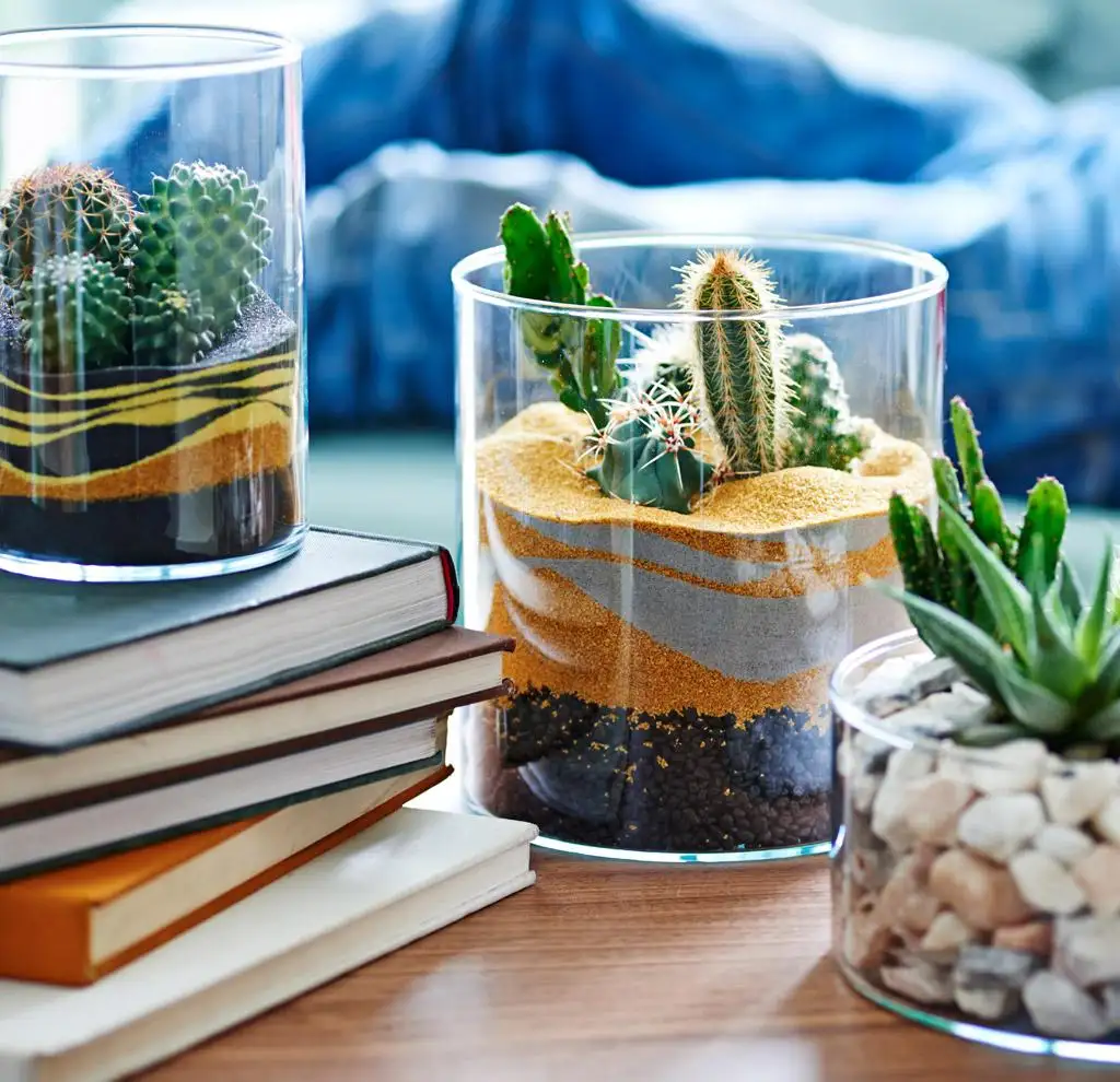 Accentuate specific furniture pieces with succulents