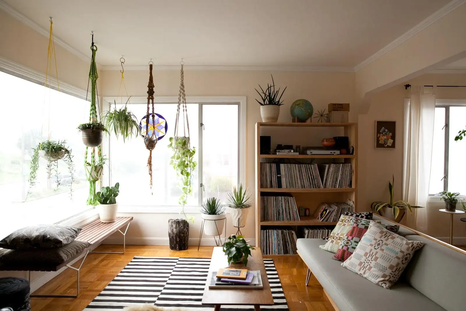 Living room plants