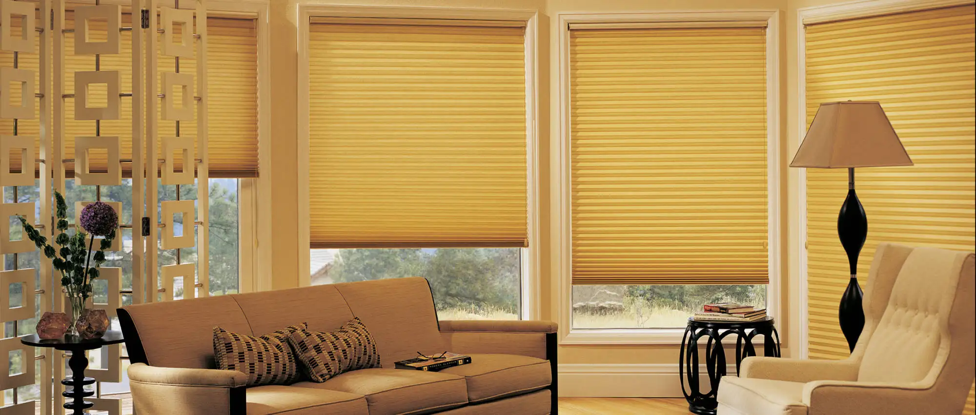 Hunter Douglas window treatments for your house