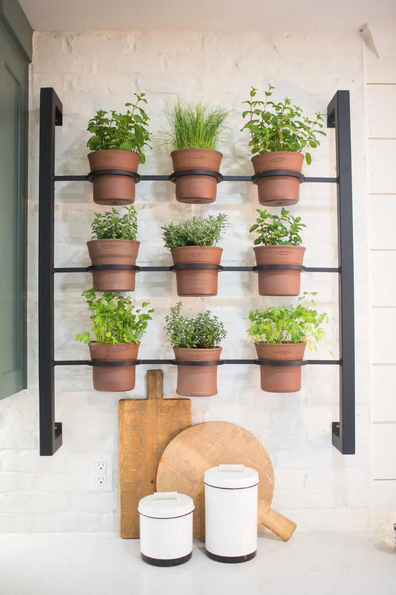 Kitchen plants decor