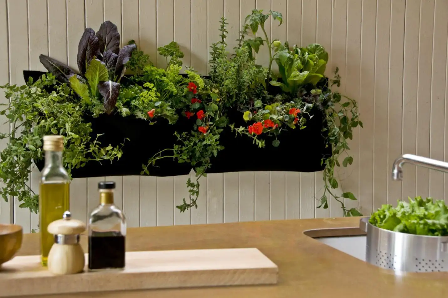 Kitchen plants decor