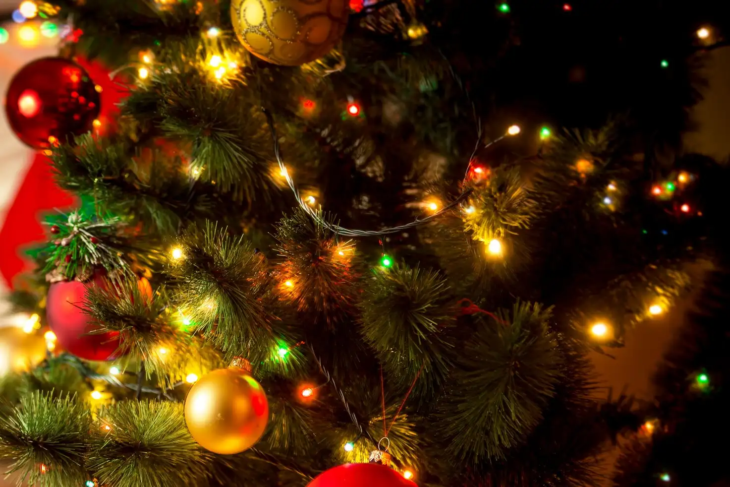 Christmas lights to make your home shine bright this holiday season