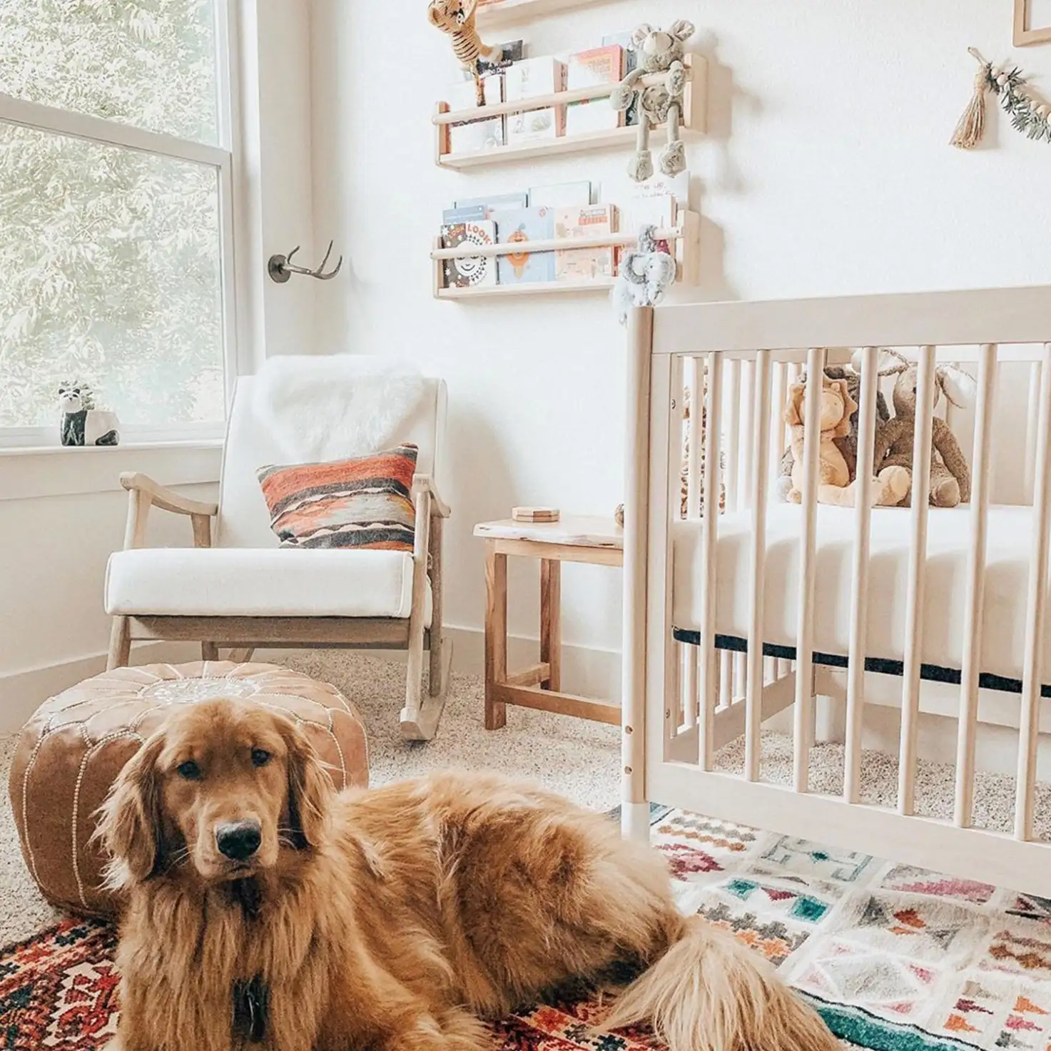 Pet-Friendly Nursery